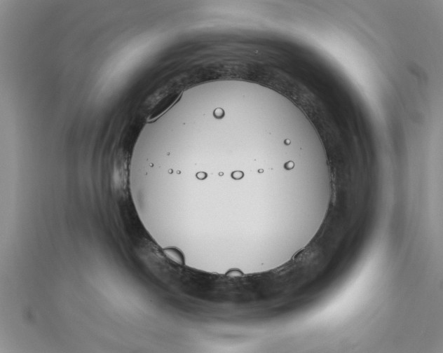 X0000112170190200908281347