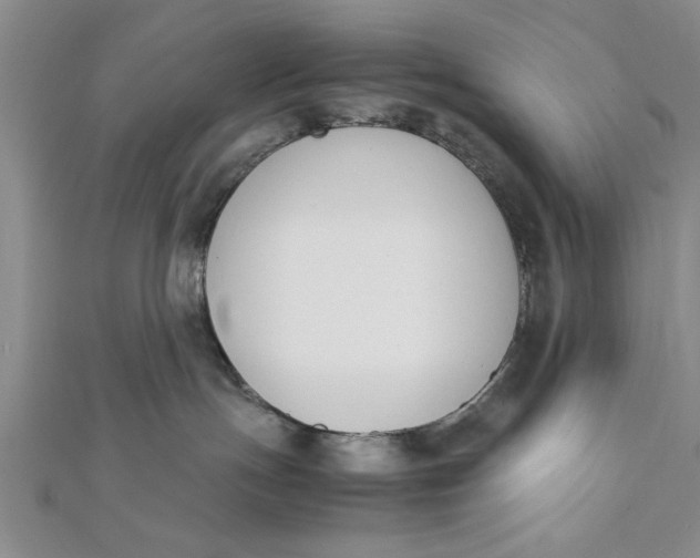 X0000112170191200908281347