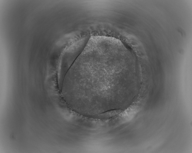 X0000112170192200908281347