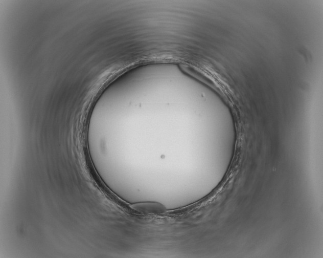 X0000112170193200908281347