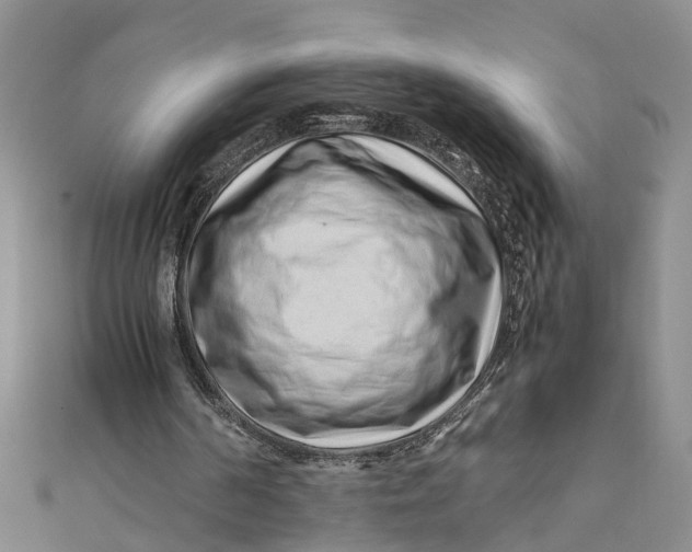 X0000112170194200908281346