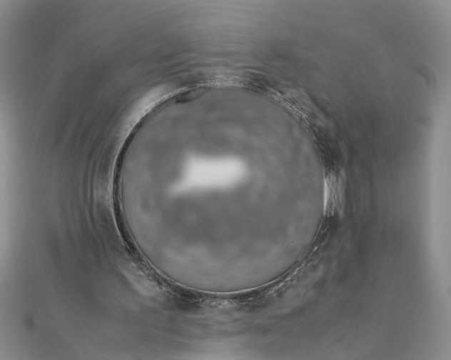 X0000112170195200908281346