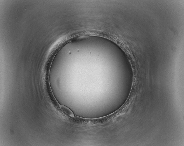 X0000112170197200908281346