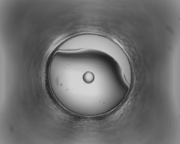 X0000112170199200908281346