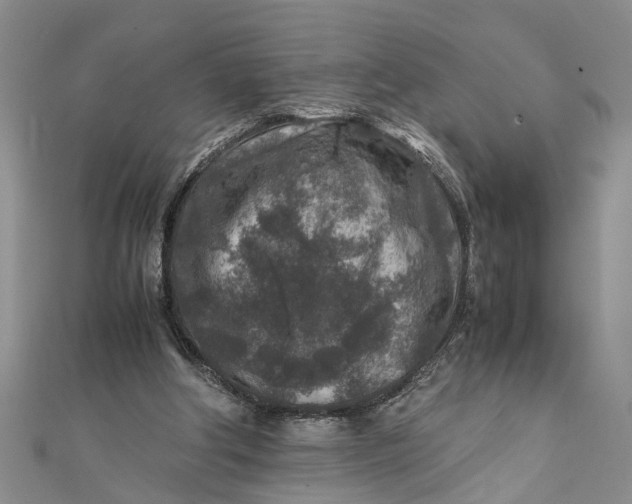 X0000112170202200908281346