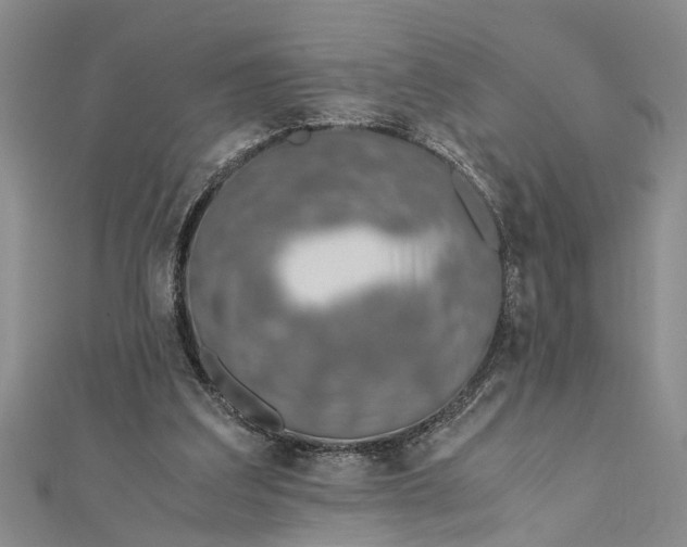 X0000112170203200908281346