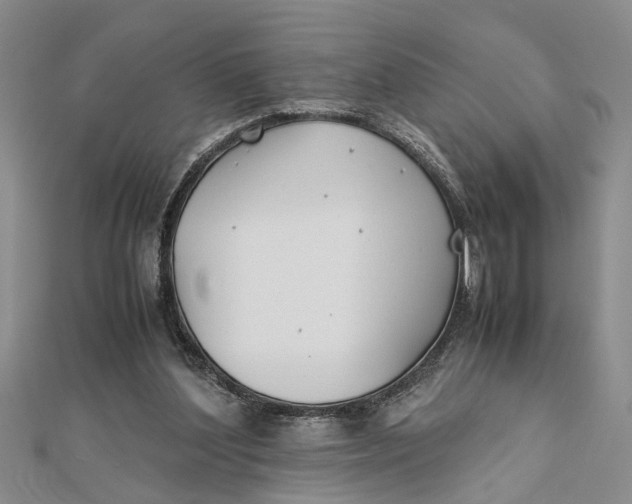 X0000112170204200908281346