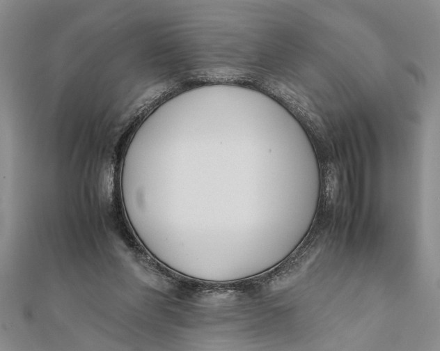 X0000112170206200908281346