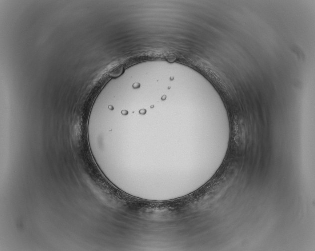 X0000112170208200908281346