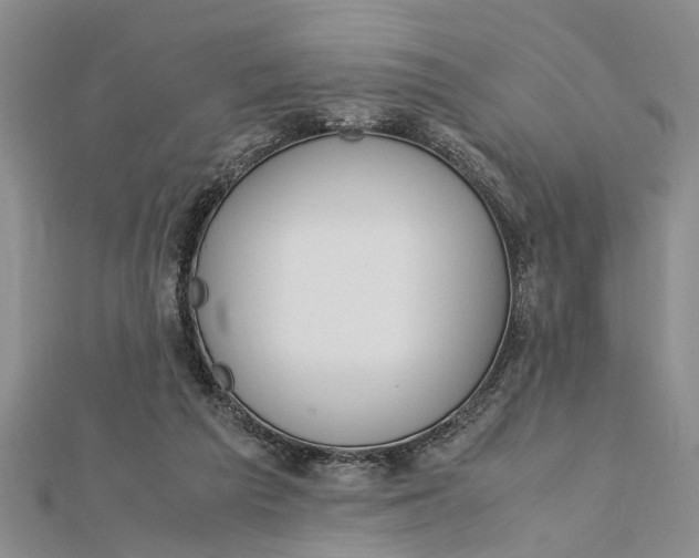 X0000112170209200908281346