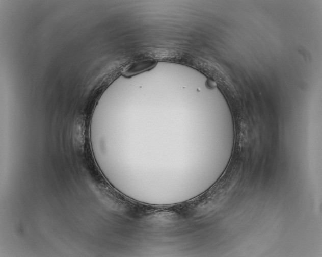 X0000112170210200908281346