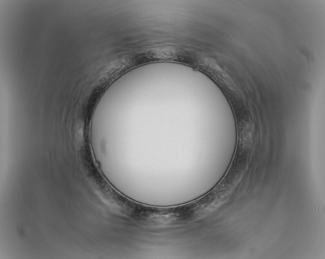 X0000112170213200908281346