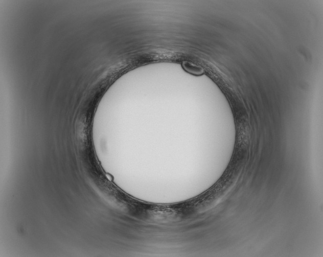 X0000112170215200908281346