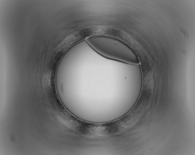 X0000112170217200908281346