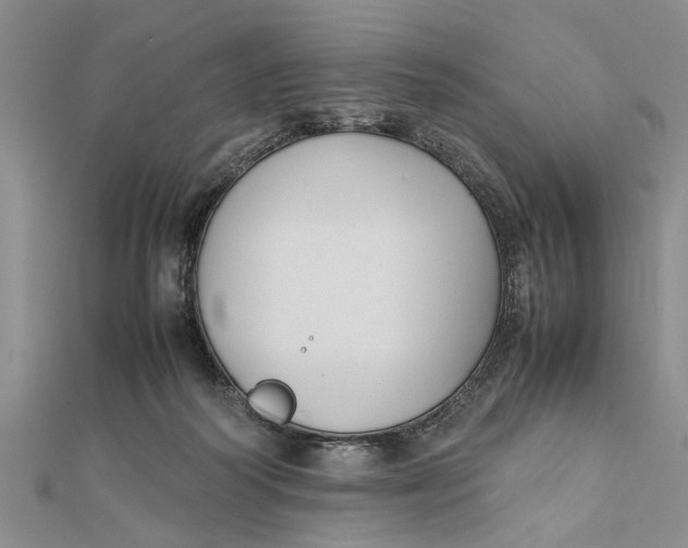 X0000112170218200908281346