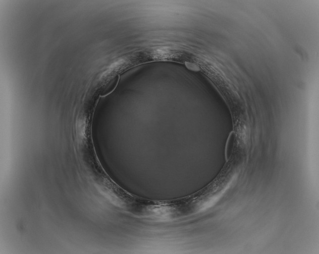 X0000112170219200908281346