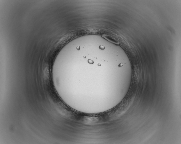 X0000112170220200908281346