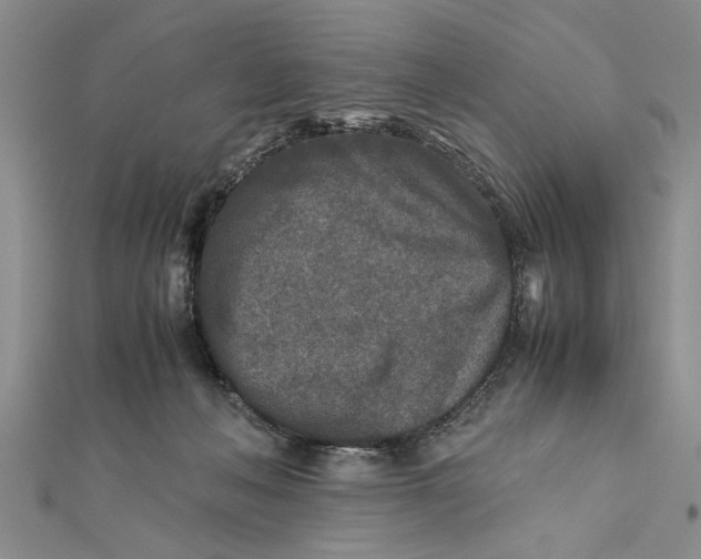 X0000112170222200908281346