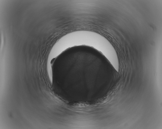 X0000112170223200908281346