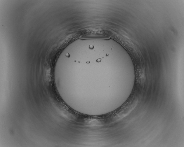 X0000112170224200908281346