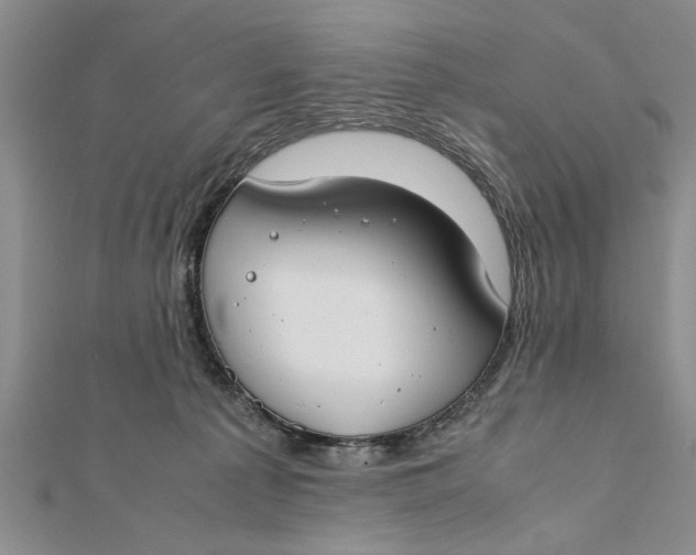 X0000112170225200908281346