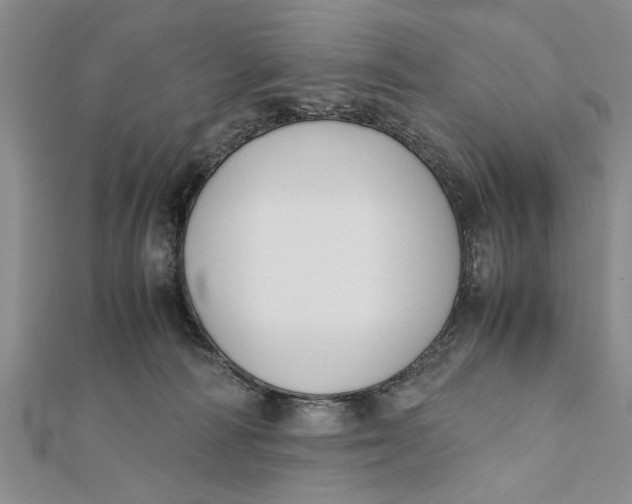 X0000112170226200908281346