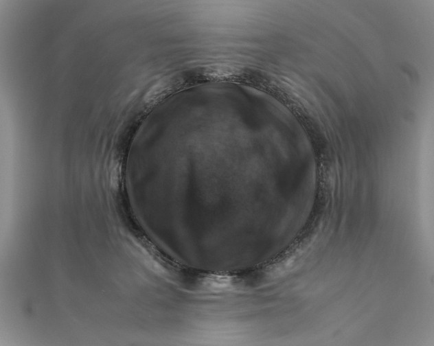 X0000112170227200908281346