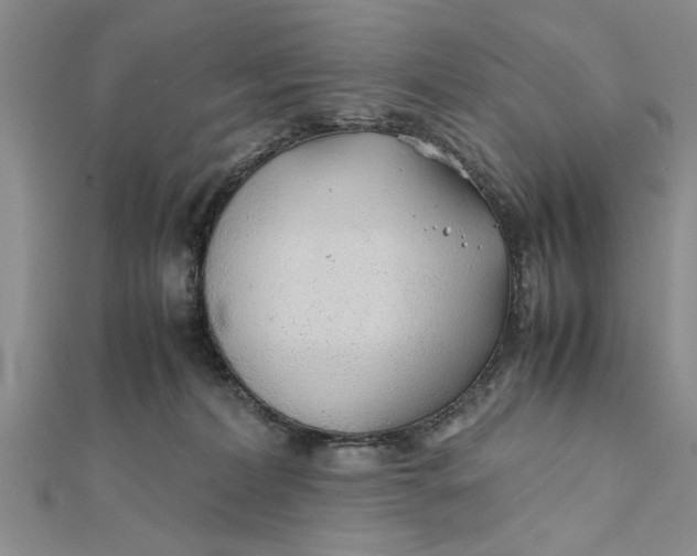 X0000112170228200908281346