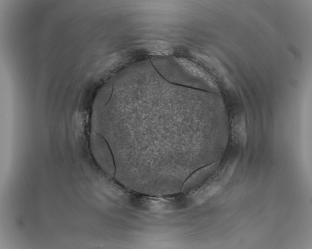 X0000112170229200908281346