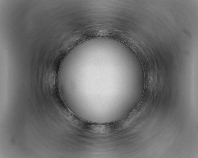 X0000112170230200908281346