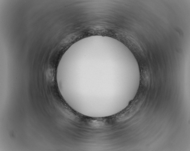 X0000112170232200908281346