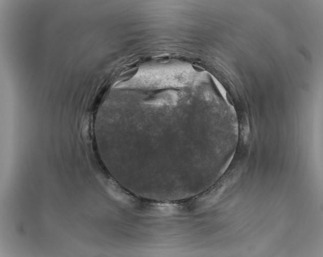 X0000112170233200908281346