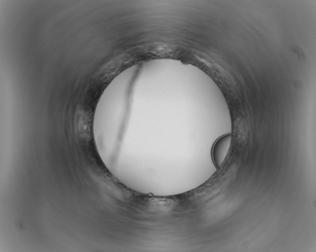 X0000112170234200908281346