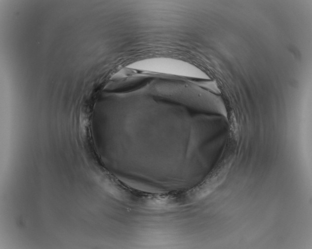 X0000112170235200908281346