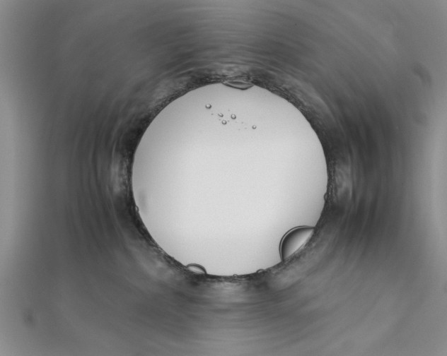 X0000112170236200908281346