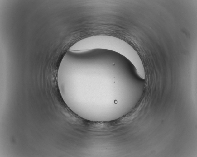 X0000112170237200908281346