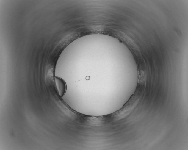 X0000112170238200908281346