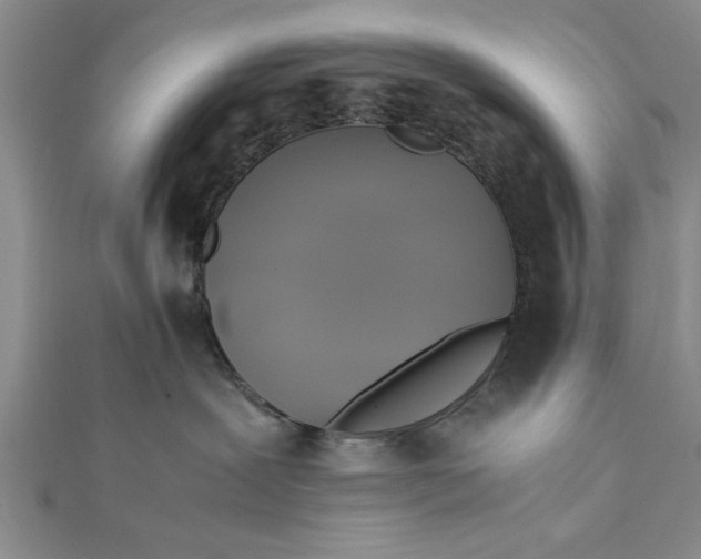 X0000112170239200908281346