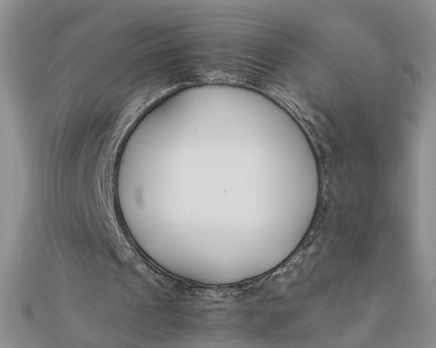 X0000112170241200908281345