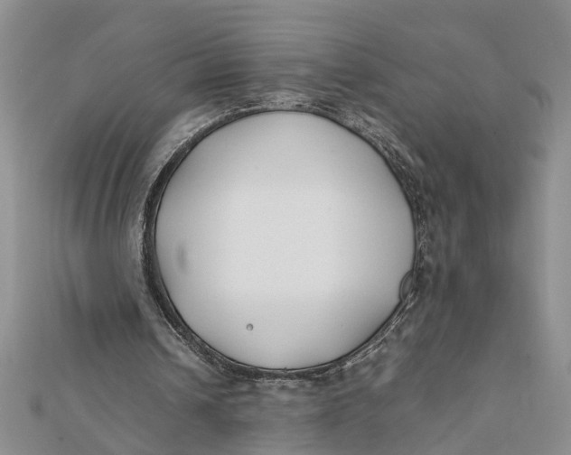 X0000112170242200908281345