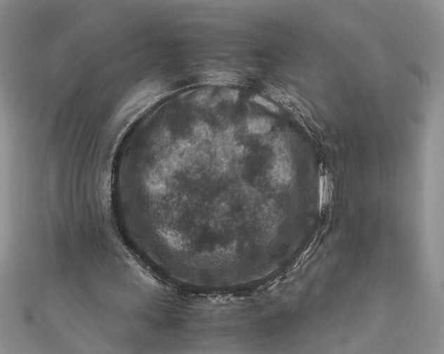 X0000112170243200908281345