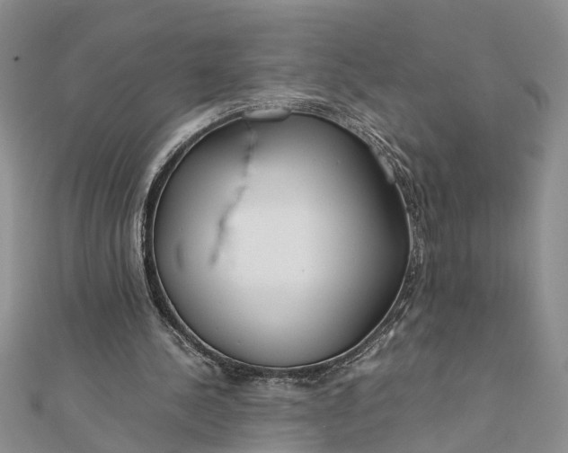 X0000112170244200908281345