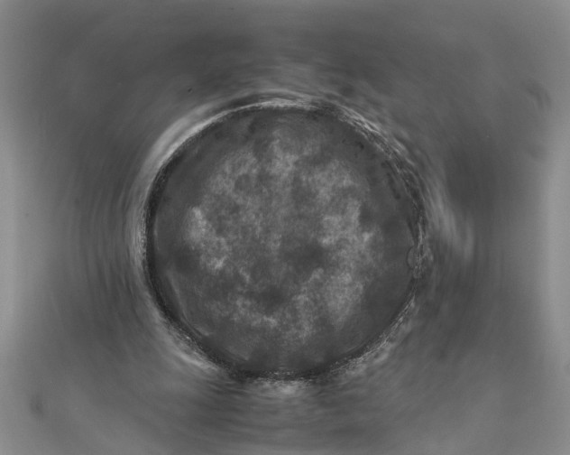 X0000112170247200908281345