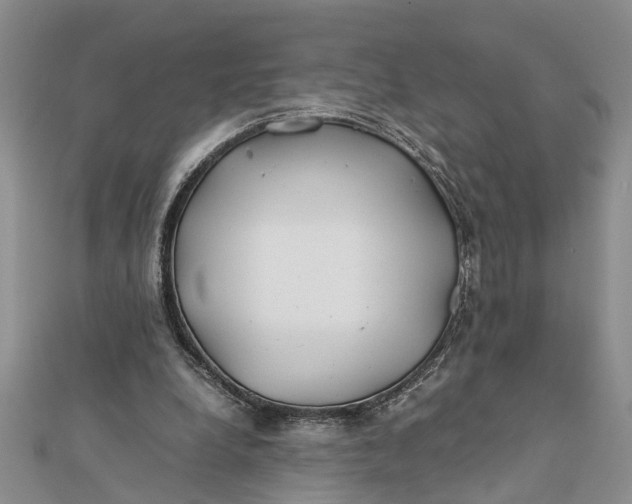 X0000112170248200908281345