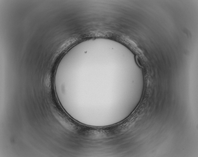 X0000112170250200908281345