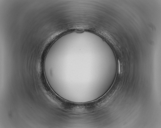 X0000112170252200908281345