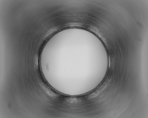 X0000112170253200908281345