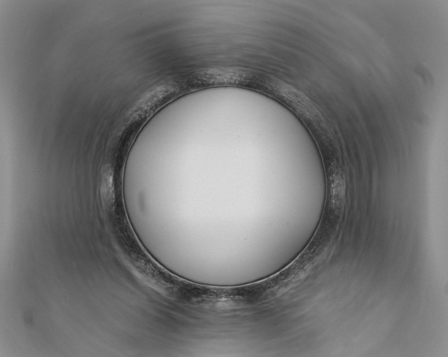 X0000112170254200908281345