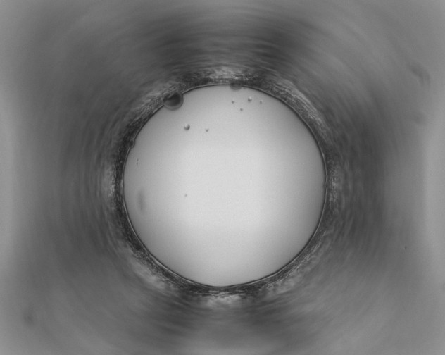 X0000112170257200908281345