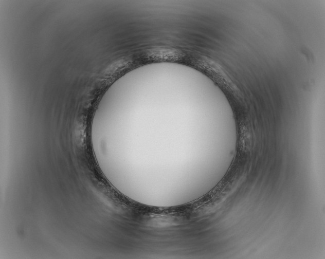 X0000112170259200908281346